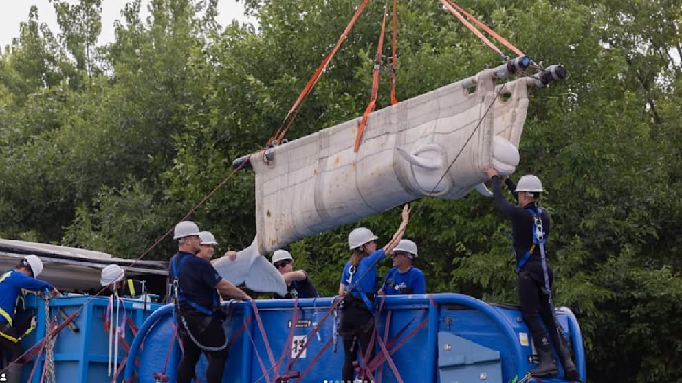 Aufwendige Rettung von Beluga-Walen aus kanadischem Freizeitpark