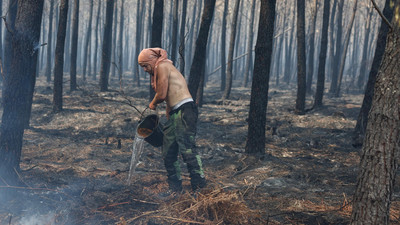 Waldbrände in Europa: Aktuelle Lage und Maßnahmen