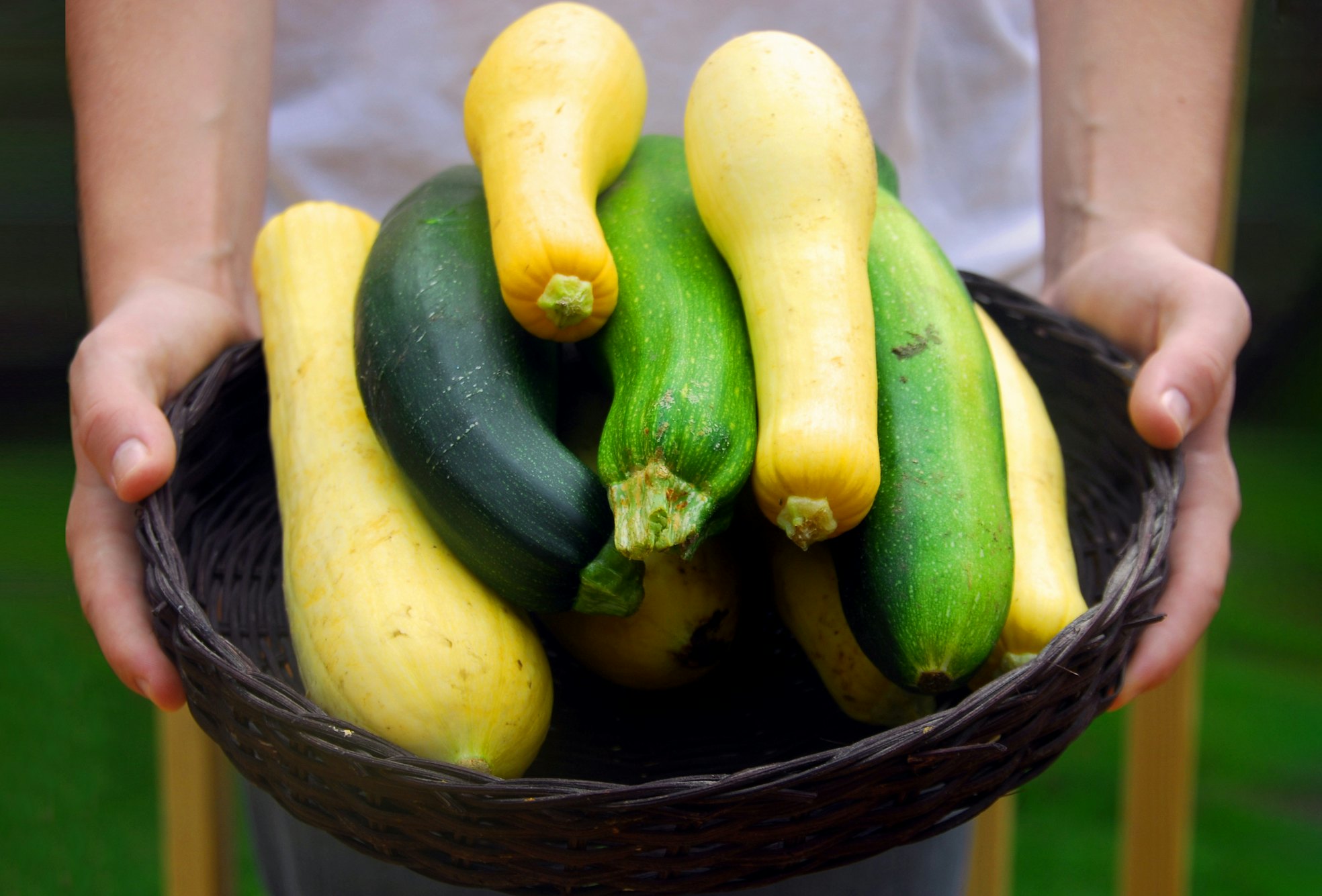 Was tun mit der Zucchinischwemme im Garten?