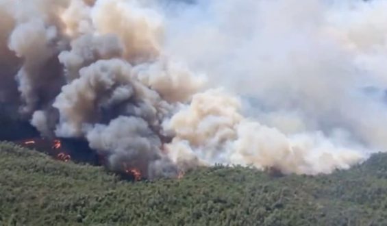 Waldbrand bedroht Ferienregion nahe der Costa Brava