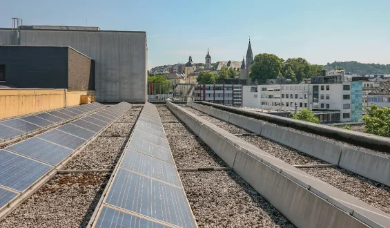 Entschärfte Pläne für Ökostrom-Förderung und Netzengpässe