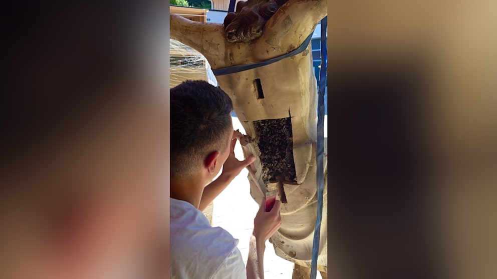 Kuriose Entdeckung: Jesus-Figur wird zum Bienenstock