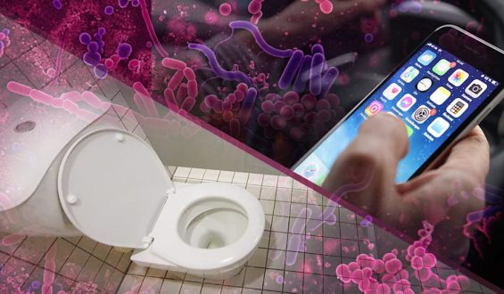 Handy gegen Toilette: Wo lauern wirklich mehr Keime?