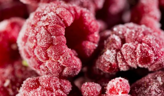 Rückruf von Tiefkühlbeeren wegen Norovirusgefahr