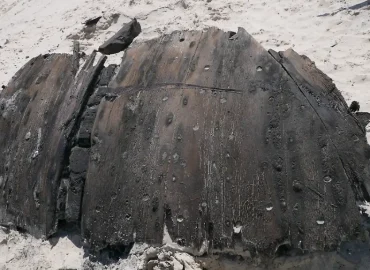 Bauarbeiter entdecken historisches Schiffswrack auf Norderney