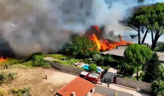 Flammen außer Kontrolle: Waldbrände in Südeuropa