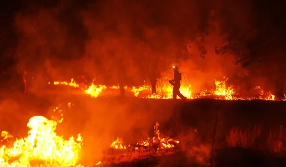 Verheerende Waldbrände in Spanien und Frankreich