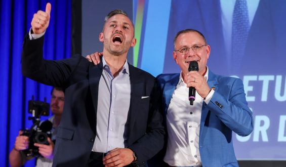 Analyse der AfD: Ziele und politische Position