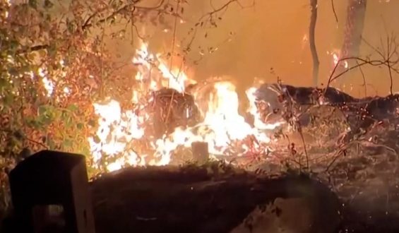 Feuerwalze vor Paris: Feuerwehrleute im Einsatz