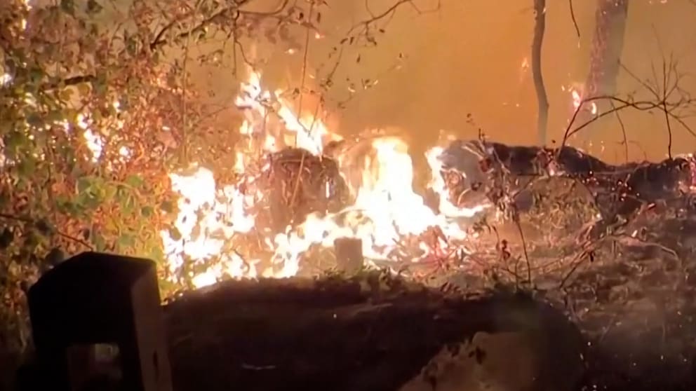 Feuerwalze vor Paris: Feuerwehrleute im Einsatz