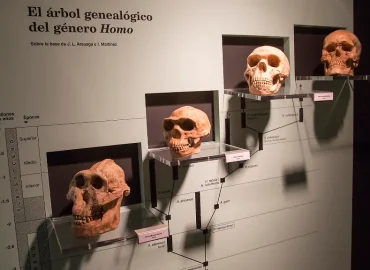 Spuren in unserer DNA entdeckt: Menschheit besitzt mindestens zwei mysteriöse Vorfahren