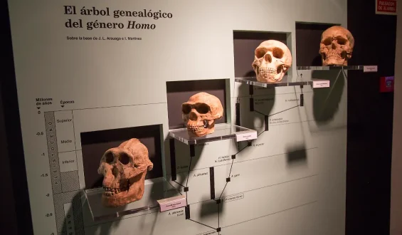 Spuren in unserer DNA entdeckt: Menschheit besitzt mindestens zwei mysteriöse Vorfahren