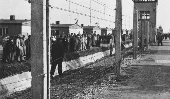 Die dunkle Geschichte von Dachau