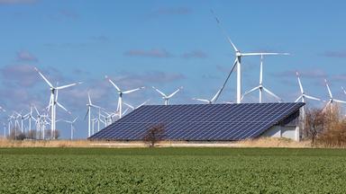 Einspeisevergütung für Photovoltaikanlagen ab August 2026