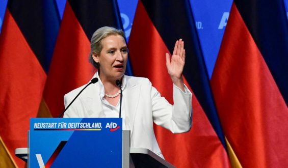 Analyse AfD-Bundesparteitag: Weidel und Höckes Machtzuwachs