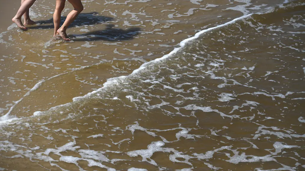 Gefahr durch Vibrionen in der Ostsee