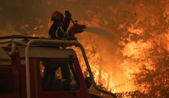 Waldbrände bedrohen Bordeaux: Notstand in Spanien