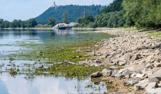 Umweltminister warnt vor Wasserknappheit und wirtschaftlichen Folgen