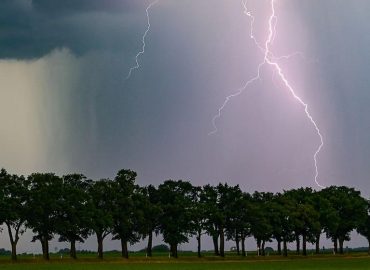 Hitzewelle in Deutschland: Temperaturrekorde und Folgen