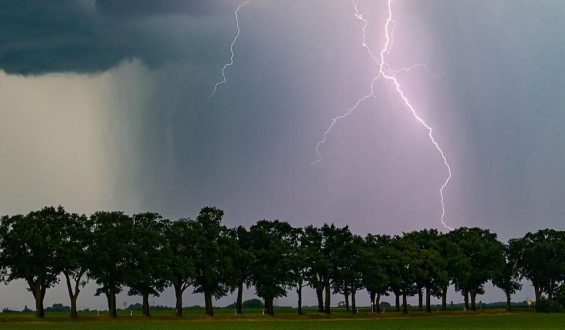 Hitzewelle in Deutschland: Temperaturrekorde und Folgen