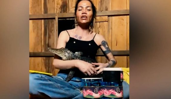 Influencerin bei Livestream von Krokodil gebissen