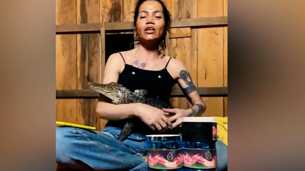 Influencerin bei Livestream von Krokodil gebissen