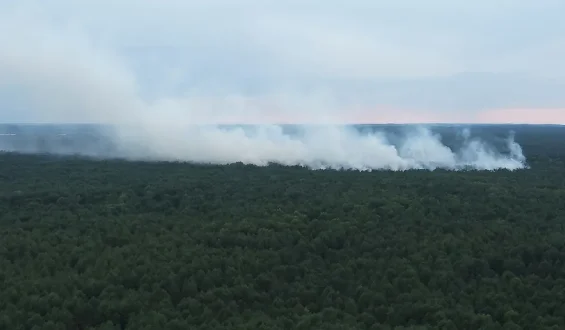 Evakuierungen im Müritz-Nationalpark aufgrund von Waldbrand und alter Munition