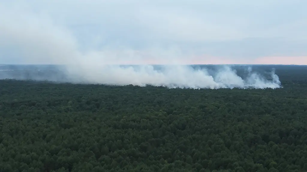 Evakuierungen im Müritz-Nationalpark aufgrund von Waldbrand und alter Munition