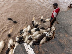 Ozeane und Erderwärmung: Rekordtemperaturen im Sommerbeginn