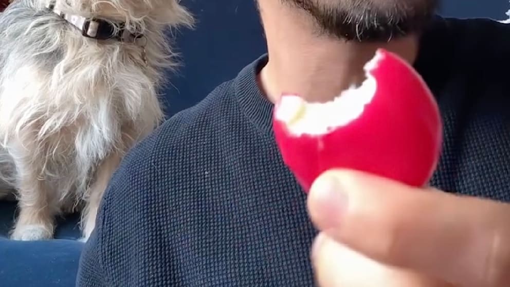 Der Babybel-Vorfall: Die Wachsschicht-Herausforderung