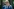 Minister Weimers Vorschlag für ein ‘Literarisches Wort des Jahres’