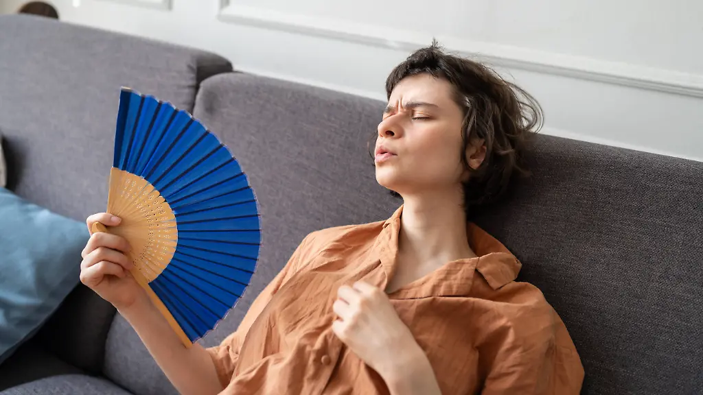 Ventilatoren für die nächste Hitzewelle