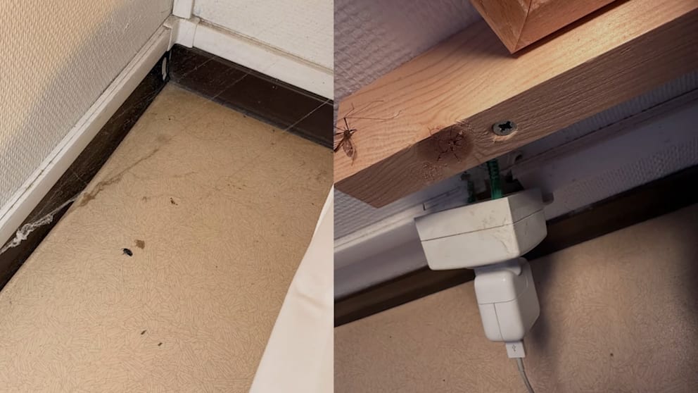 Tour-De-France-Profis über unzulängliche Hotelbedingungen