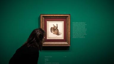 Das MuseumsQuartier in Wien: Ein Zentrum der Kultur