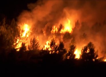 Waldbrände in Südfrankreich: Tausende auf der Flucht