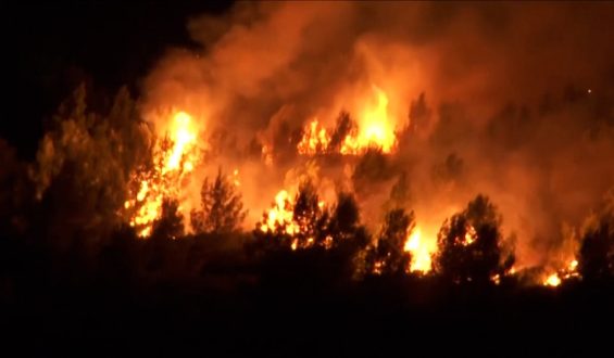 Waldbrände in Südfrankreich: Tausende auf der Flucht
