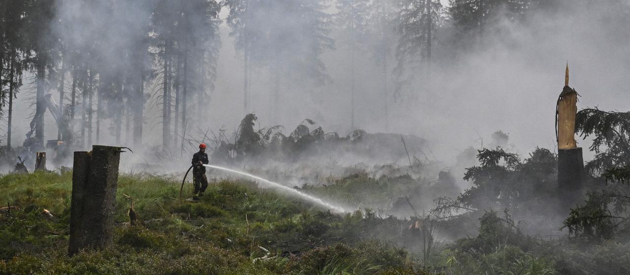 Einsatzkräfte kämpfen gegen Waldbrand im Hohen Venn