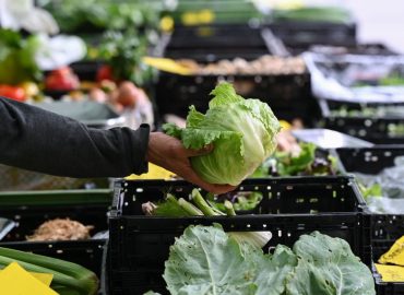 Aktueller Ausbruch von Cyclospora in den USA