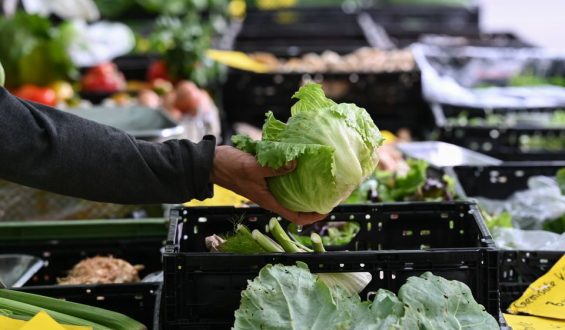 Aktueller Ausbruch von Cyclospora in den USA