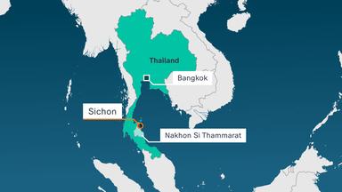 Tödlicher Vorfall mit Würfelqualle in Thailand