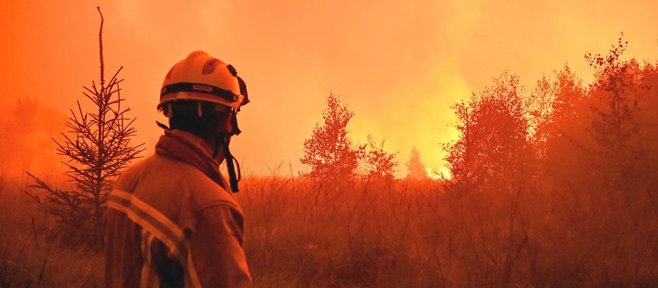 Erhöhte Waldbrandgefahr in Europa durch Klimawandel