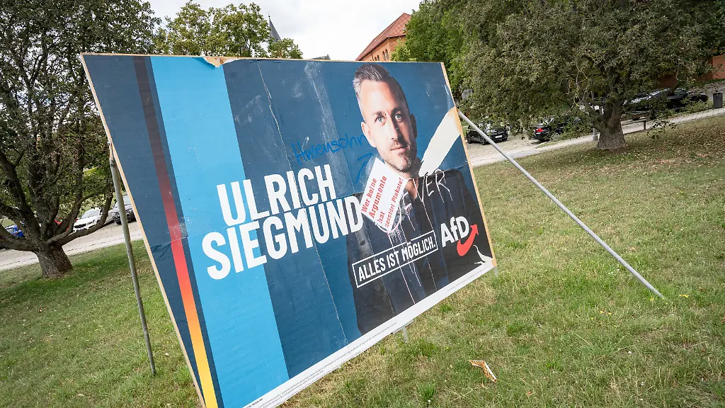 BSW strebt Zusammenarbeit mit AfD in Sachsen-Anhalt an