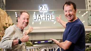 25 Jahre Miniatur Wunderland in Hamburg: Ein Rückblick