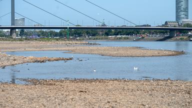 Extremes Niedrigwasser am Rhein betrifft Autofahrer und Wirtschaft