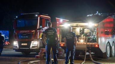 Waldbrände an der deutsch-belgischen Grenze: Maßnahmen und Entwicklungen