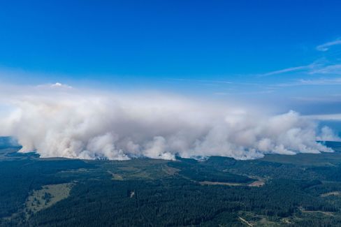 Waldbrände und Klimastreit in Deutschland