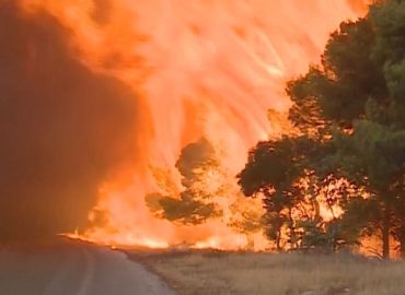 Griechenland kämpft weiter gegen Waldbrände