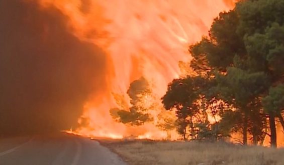 Griechenland kämpft weiter gegen Waldbrände