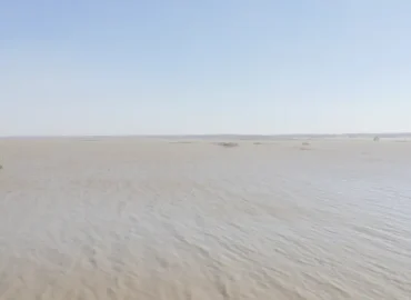 Migrationstragödie in der Wüste des Todes