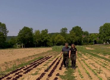 Trockenheit und Ernteausfälle in der Landwirtschaft